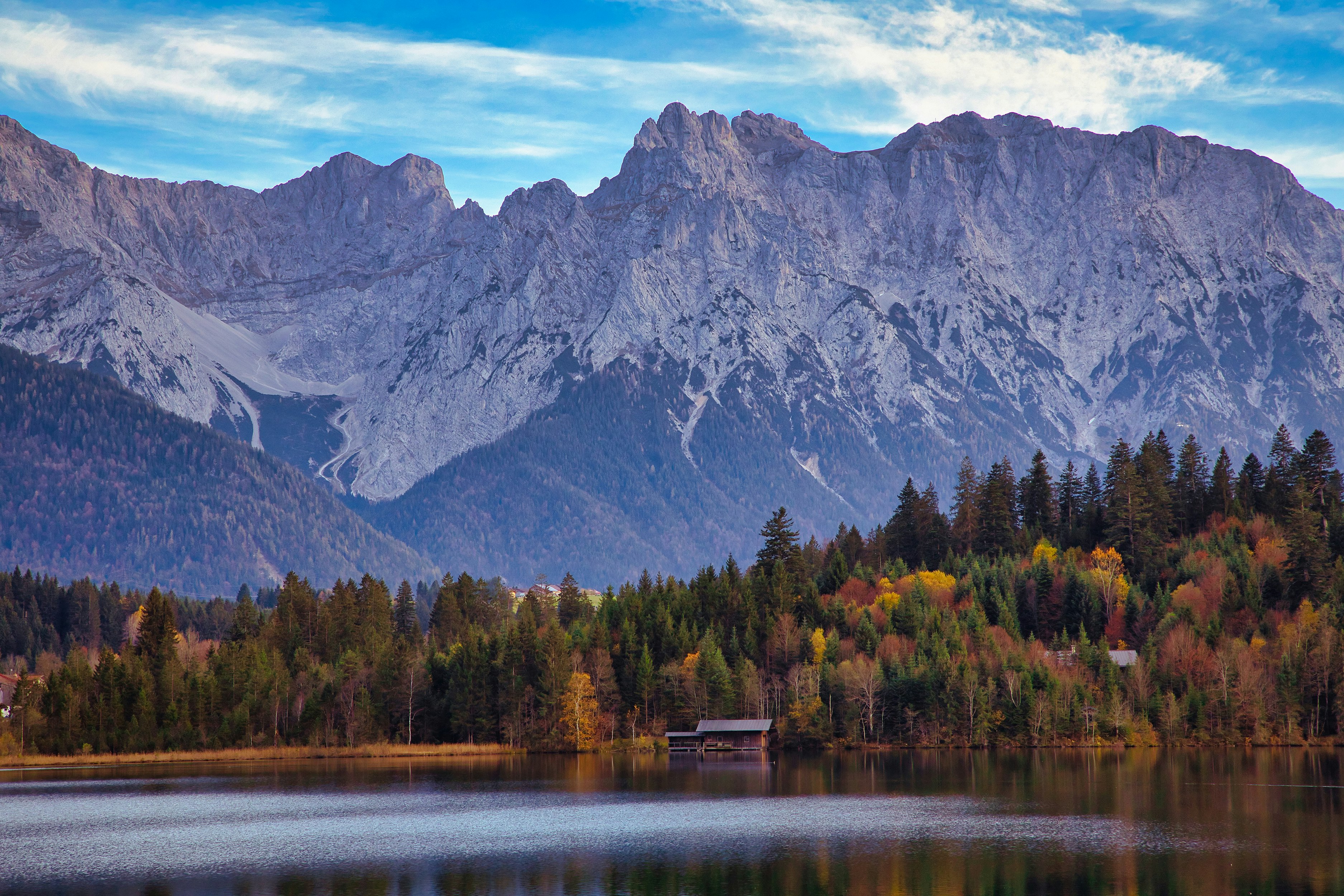 green trees near lake and mountain